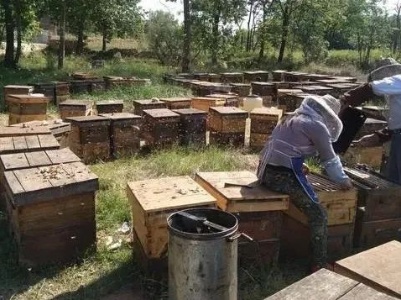 别遗忘这些“沉默的大多数”