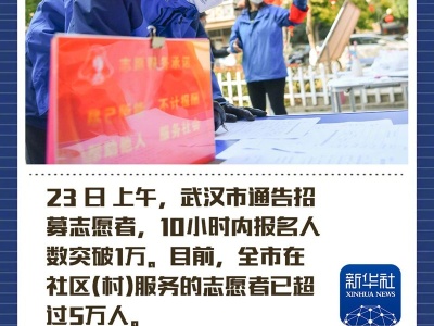 武汉：全城发出志愿者招募令报名人数过万