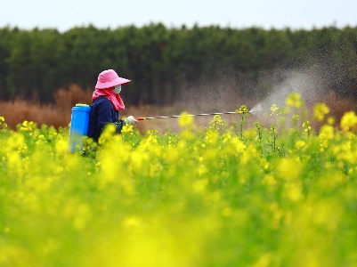 江西泰和：防控疫情不忘春耕生产