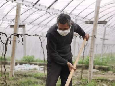 苑前农民：居家不乱跑 春耕备耕忙