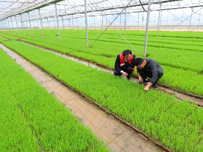 泰和：信贷支农助力春耕备耕