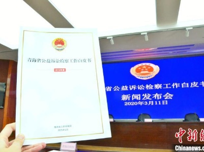 2019年青海省公益诉讼案件数量同比倍增 