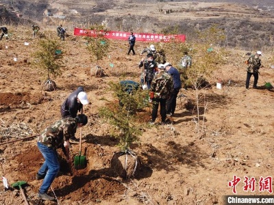 “中国健康好乡村”携手百个贫困村栽种“大健康”药用林 
