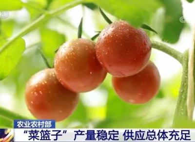 农业农村部：“菜篮子”产量稳定 供应总体充足 