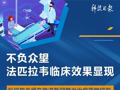 科研攻关组药物专班：法匹拉韦安全性好、疗效明确、药品可及！