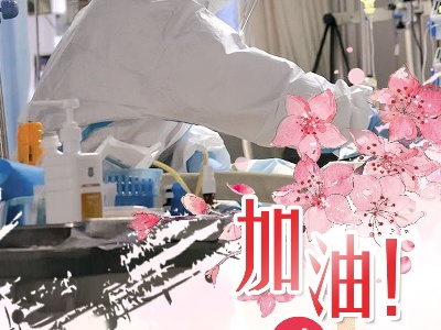 疾风知劲草