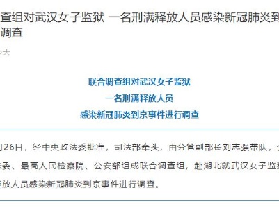 联合调查组对“刑满释放人员感染新冠肺炎到京”进行调查