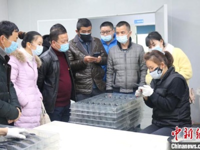 疫情下的“留守”农民工：“经纪人”一线牵 家门口觅新机 