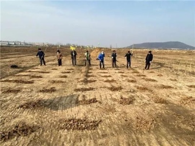 抓防疫，抓复工，两手都要硬——各地文博单位有序恢复开放和复工