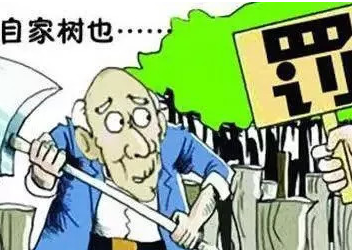你造吗？砍伐自家树也涉嫌违法！