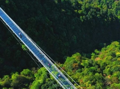泰和一家基地上榜！江西四部门联合公布首批省级森林康养基地名单