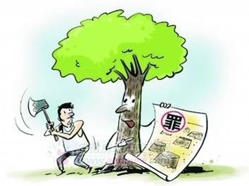 毁坏樟树违法吗？泰和民警通过案例告诉你！
