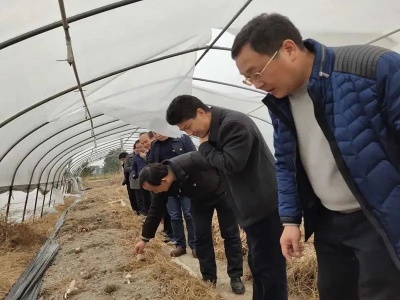 禾市丰垅：“蘑菇书记”战贫记
