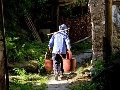 特约主播严婷带您听泰和 | 母亲的肩背 · 周运鑫