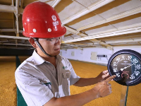 泰和：收储稻谷保障粮食安全