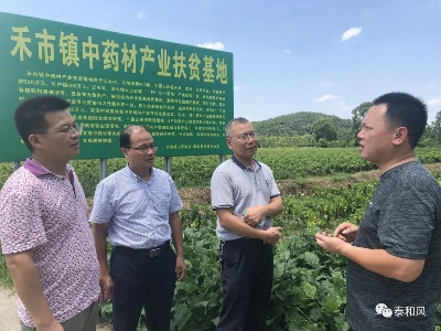 “农业大讲堂”专家田间地头“把脉开方” 助力泰和药农灾后减损