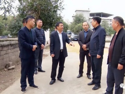 廖东生调研耕地保护和美丽乡村建设工作