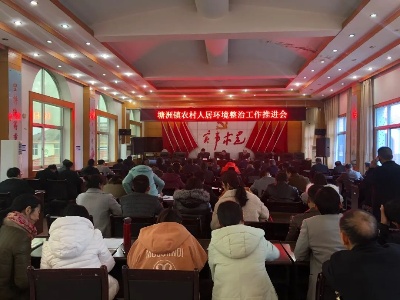 百日攻坚在行动｜塘洲镇召开农村人居环境整治流动现场会