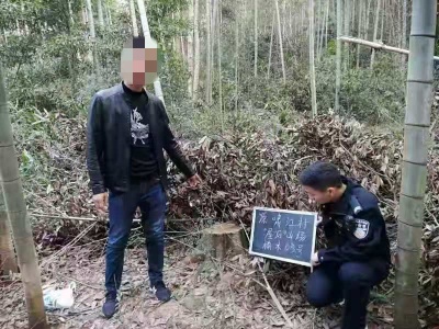 泰和警方破获一起团伙盗伐楠木案四嫌犯被判刑 