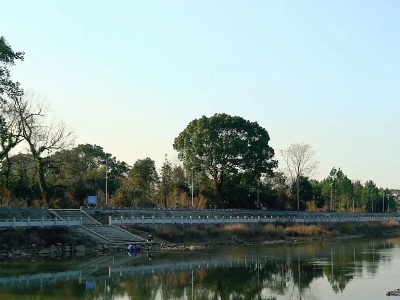 【贯彻落实县委全会精神】冠朝：扎实推进项目建设