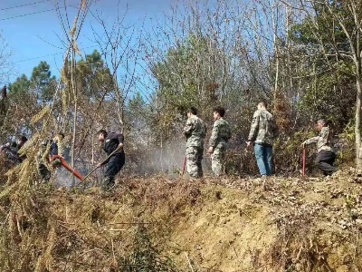 引以为戒！上圯乡回龙村有村民因这事被罚！