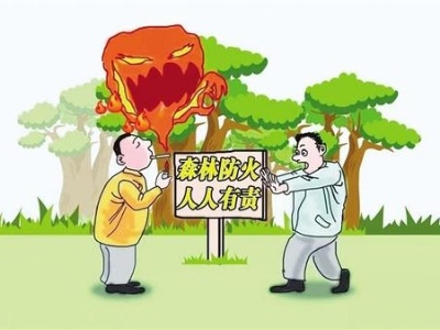 森林防灭火，水槎人人有责！速转发提醒你的家人！