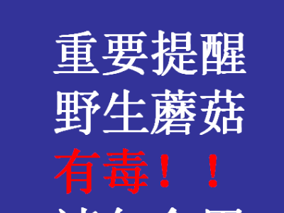 重要提醒：野生蘑菇有毒，请勿食用！