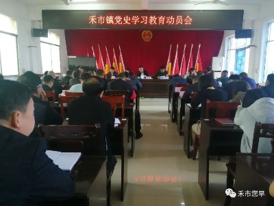 【学党史 悟思想 办实事 开新局】禾市镇召开党史学习教育动员会