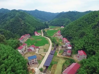 泰和各地抢抓时机植树造林