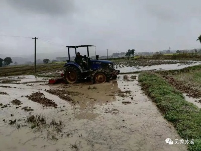 苏溪镇召开春耕备耕粮食生产工作布置会