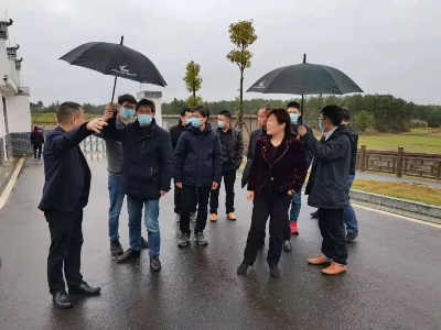 浙江大学专家团队来泰和调研乌鸡产业发展工作