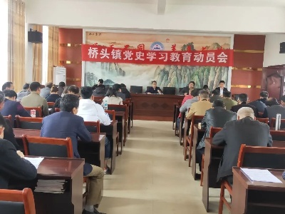 【学党史 悟思想 办实事 开新局】桥头镇召开党史学习教育动员会