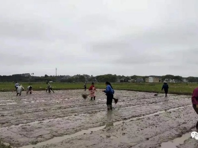 泰和各地掀起春耕生产高潮