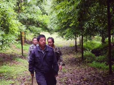 劳模风采 | 胡会忠：深山护林三十二载