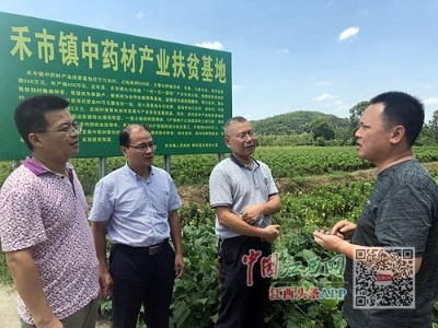 专家把脉开方 助农灾后自救