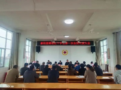国营泰和综合垦殖场红十字会正式成立