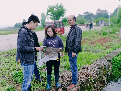泰和:高标准农田建设工作有序推进