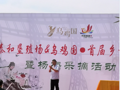 泰和垦殖场场企联合举办首届乡村旅游暨杨梅采摘活动