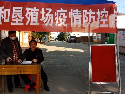 泰垦文明实践志愿者抗疫在行动
