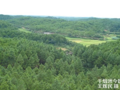 人民日报整版报道 | 泰和：千烟洲生态修复与经济协同发展