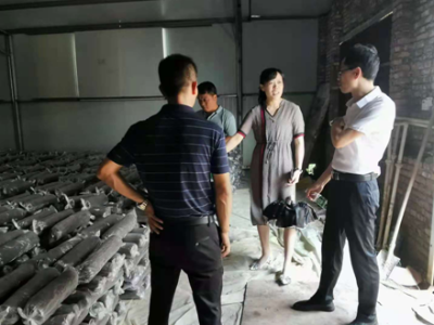 石山乡赴横江镇 苏溪镇 马市镇考察学习产业发展和新农村建设先进经验