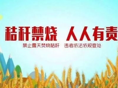 禾市镇：多措并举出实招  秸秆禁烧有成效