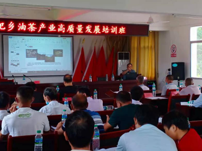 立足上圯油茶资源禀赋，走好本地特色产业发展道路——上圯举办高产油茶培训班