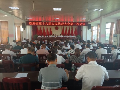螺溪镇第十八届人民代表大会第一次会议胜利闭幕