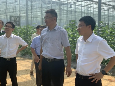 上模乡：学先进  补短板  赴兄弟乡镇参观学习产业发展及乡村建设工作