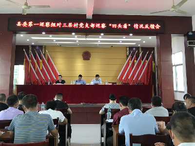 苏溪镇召开县委第一巡察组对三居村党支部巡察 “回头看”情况反馈会