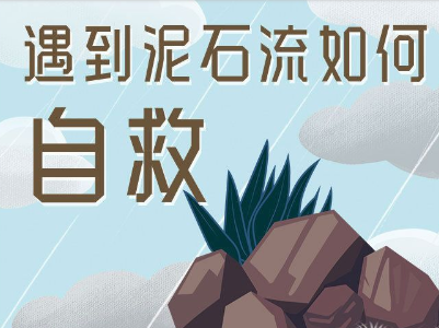 遇到泥石流如何自救？