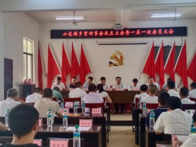 小龙镇召开乡贤理事会成立大会