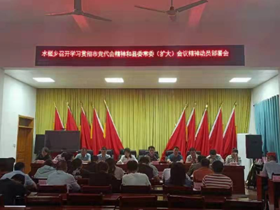 水槎乡深入学习吉安市第五次党代会精神 