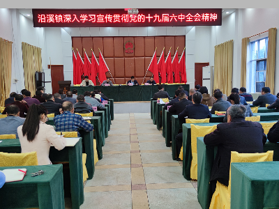 沿溪镇深入学习宣传贯彻党的十九届六中全会精神